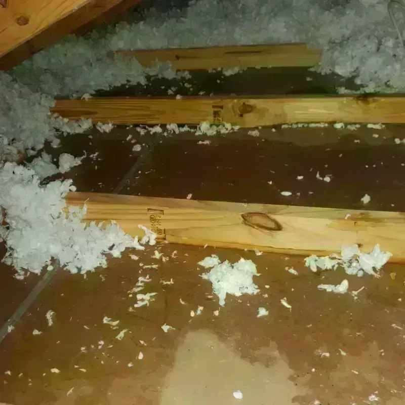 Attic Water Damage in Buford, GA