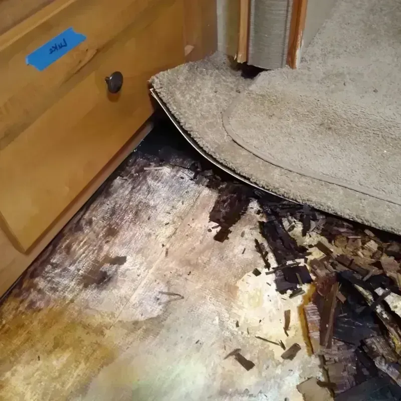 Wood Floor Water Damage in Buford, GA